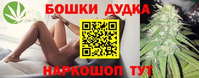 хмурый Кингисепп