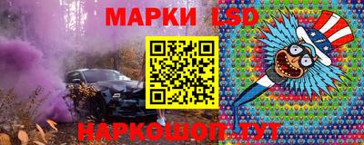 хмурый Кингисепп