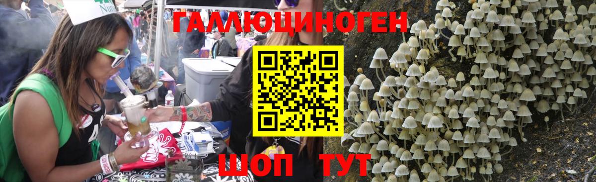 Галлюциногенные грибы ЛСД Тула